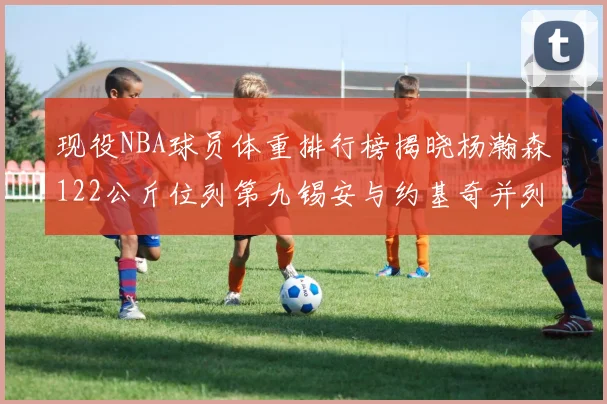 现役NBA球员体重排行榜揭晓杨瀚森122公斤位列第九锡安与约基奇并列第三